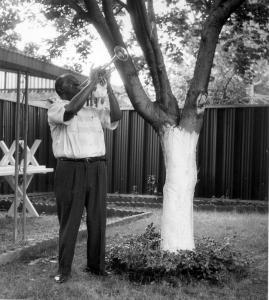 Louis Armstrong playing Trumpet in his backyard