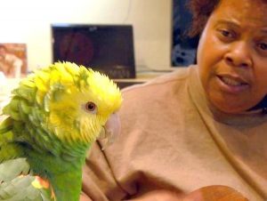 Homeless jazz musician finds solace singing with parrot